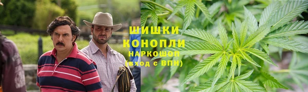 мдпв Лагань
