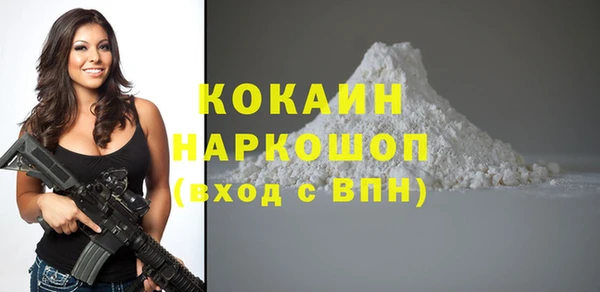 мдпв Лагань