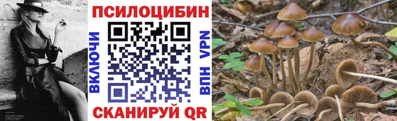 Псилоцибиновые грибы Magic Shrooms  купить наркотики сайты  Лиски 
